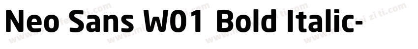 Neo Sans W01 Bold Italic字体转换